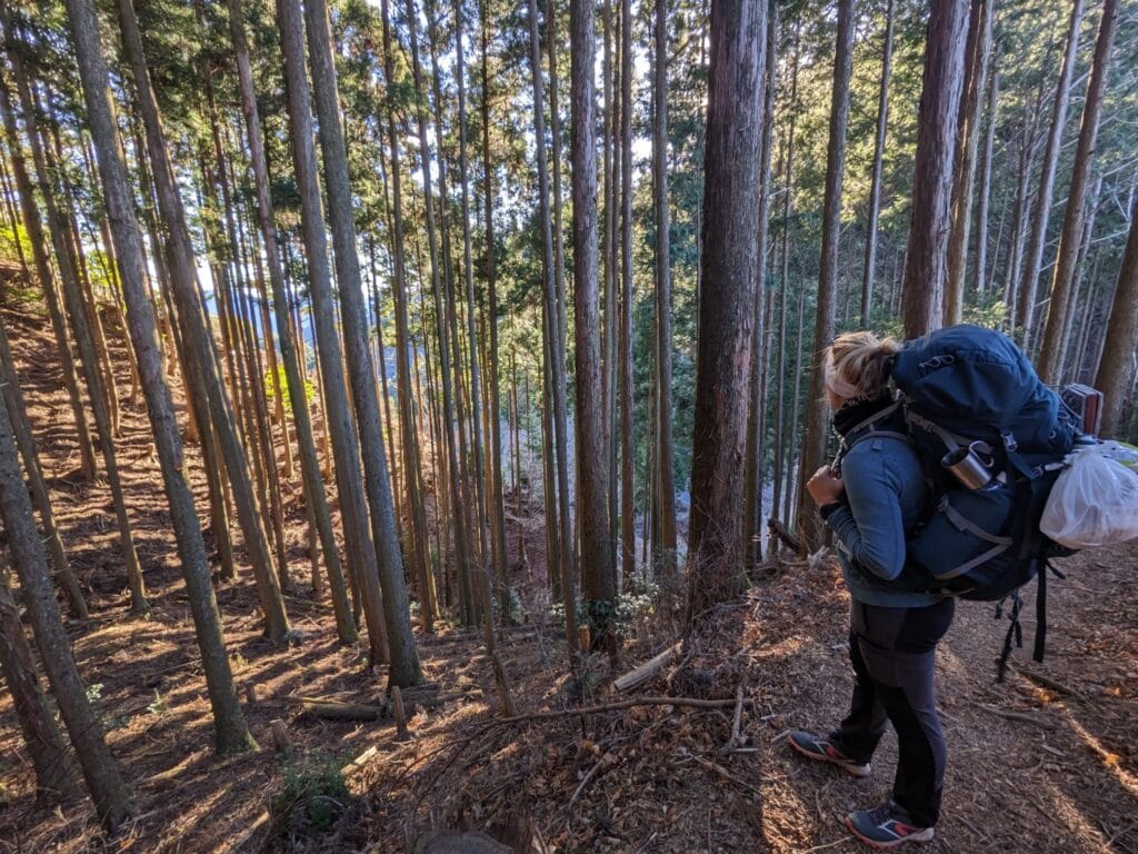 Hiking Kumano Kodo in winter (Nakahechi route) – Onsgo.org